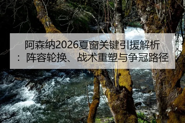 阿森纳2026夏窗关键引援解析：阵容轮换、战术重塑与争冠路径
